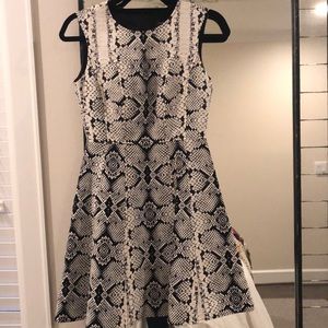 Snakeskin pattern Nanette lapore